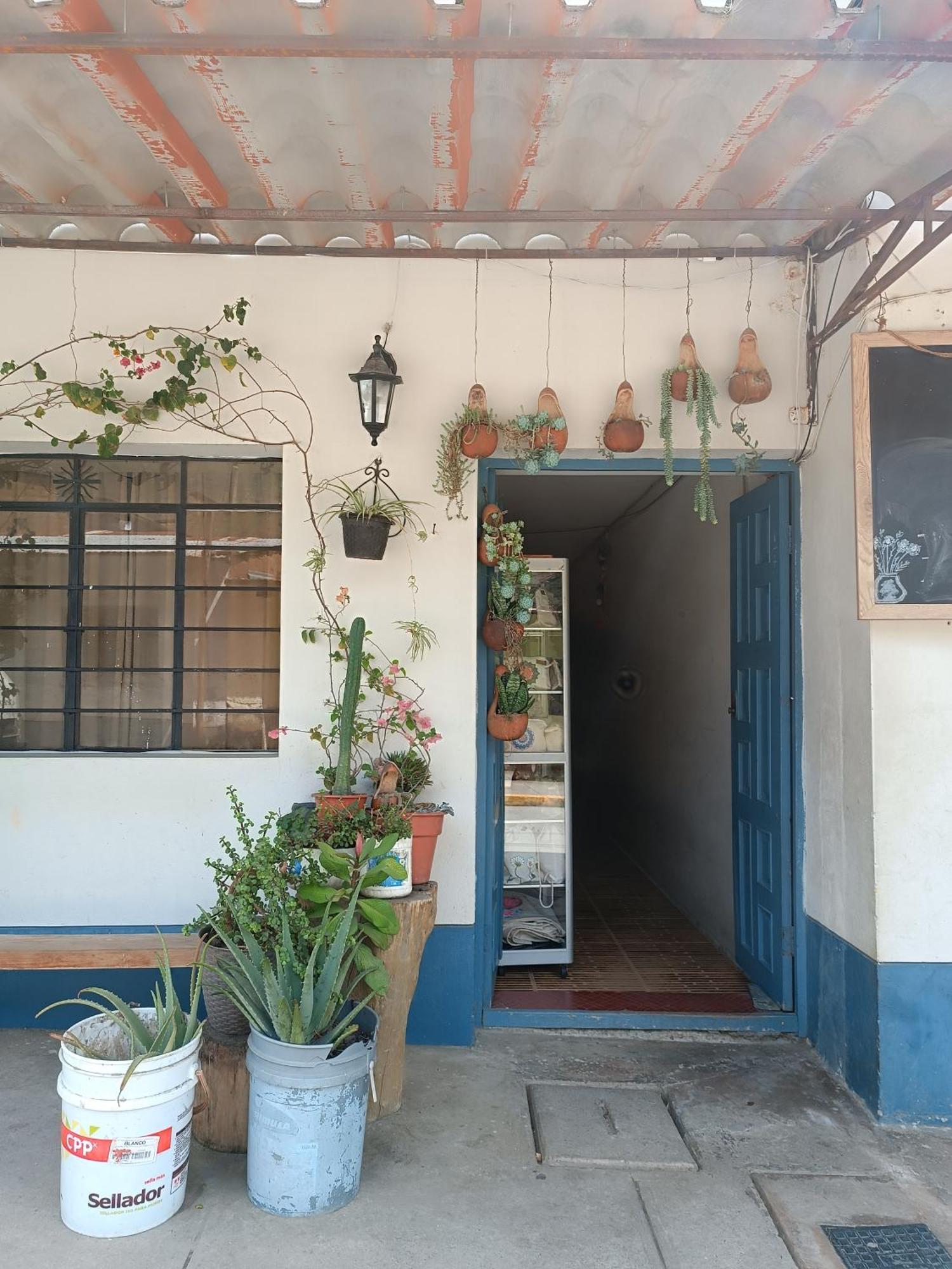 Hospedaje Quillabamba Santa Teresa  Esterno foto